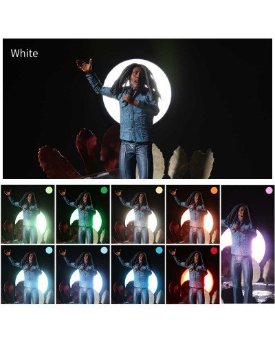 Falconeyes SGA-BOS 10pcs Color Filters Speedlite Flash Focused Snoot Falconeyes SGA-BOS 10pcs Color Filters Speedlite Flash Focused Snoot