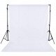 NiceFoto TB300-300W 2-Mini Studio Flash With White Background And Backdrop Stand