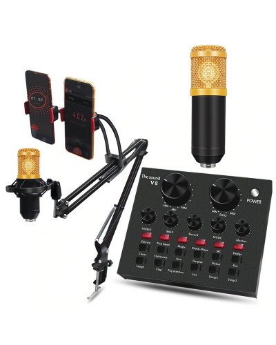 Professional BM 800 Studio Condenser Microphone Kit