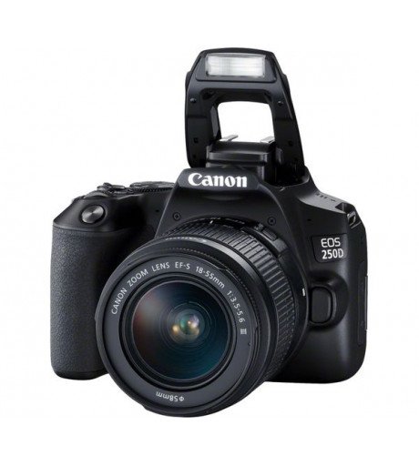 CANON EOS 250D DSLR Camera with EF-S 18-55 mm f/3.5-5.6 III Lens