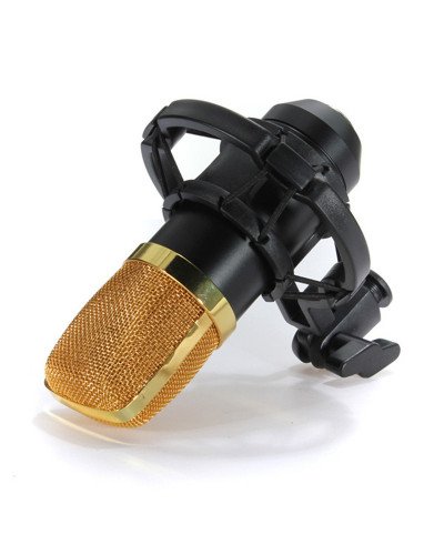 BM700 Microphone Kit