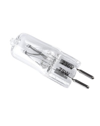 Photo Studio Lamp Bulb 