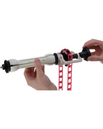 Holding Three Seamless Backdrops Holding Three Seamless Backdrops