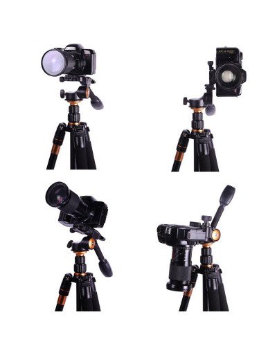 QZSD Q08 Professional ball head