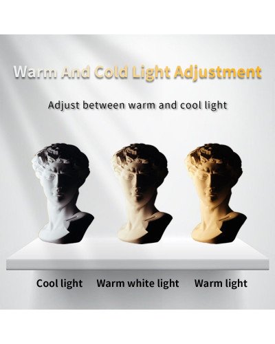W70 Bi-Color 7W LED Fill Light Portable Adjustable Light