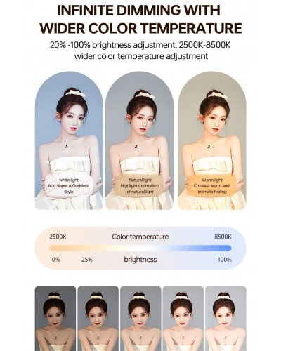 YM-200 Rechargeable 20W Selfie Portable Ring Light Phone Adjustable Fill Ring Light