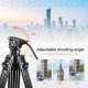 VILTROX VX-18M Heavy-Duty Video Tripod with VT-01 Fluid Head