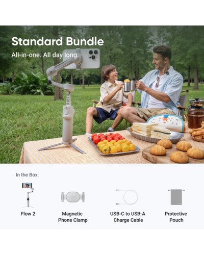 Insta360 Flow 2 Standard Bundle (Stone Gray)