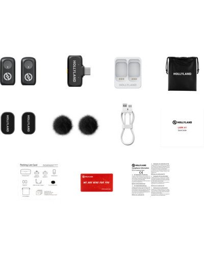 Hollyland LARK A1 Mini Duo 2-Person Wireless Microphone System with USB-C Connector (Space Gray)