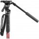 Manfrotto Element MII Video Monopod with Live Fluid Head(MVMELMIIA4LIVE)
