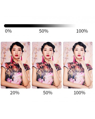 NiceFoto VB-2000A Bi-Color Folding Fabric LED Light