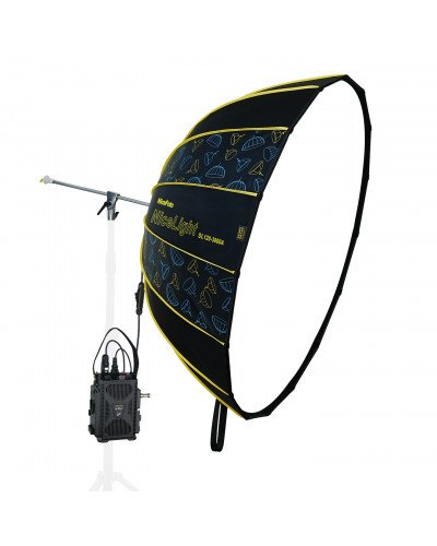 NiceFoto DL120-3000A 300W Bi-Color Umbrella Light(With Grid)