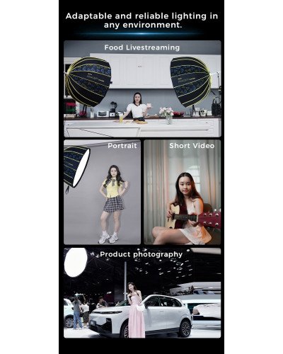 NiceFoto DL90-2000A 200W Bi-Color Umbrella Light(With Grid) NiceFoto DL90-2000A 200W Bi-Color Umbrella Light(With Grid)