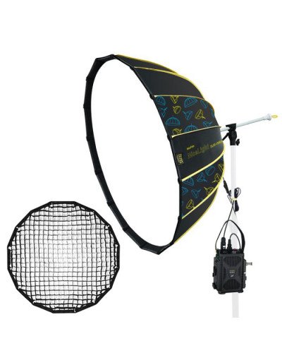 NiceFoto DL80-1000A 100W Bi-Color Umbrella Light(With Grid)