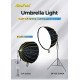 NiceFoto DF120-3000A 300W Bi-Color Umbrella Light(With Grid)