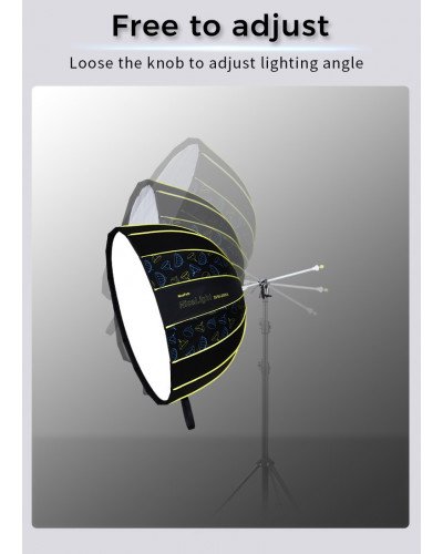 NiceFoto DF120-3000A 300W Bi-Color Umbrella Light(With Grid)