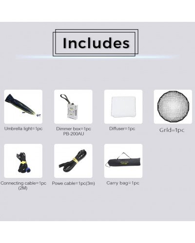 NiceFoto DF120-3000A 300W Bi-Color Umbrella Light(With Grid)