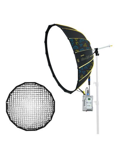 NiceFoto DF80-1000A 100W Bi-Color Umbrella Light(With Grid)
