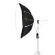 NiceFoto KT-DP80-1000B 100W (Daylight) Umbrella Light 2 Kit (With 2 Stand)