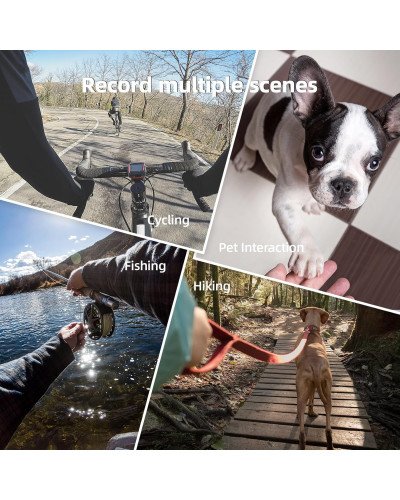 TELESIN POV Phone Holder With Neck Strap