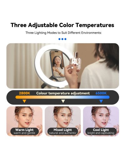 TELESIN Mobile Magnetic Floor Stand with 10 inch LED Photography Ring Light Selfie Fill Lamp