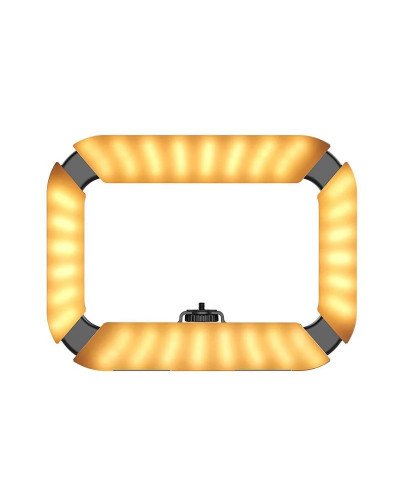 Ulanzi U200 Ring Light Video Rig