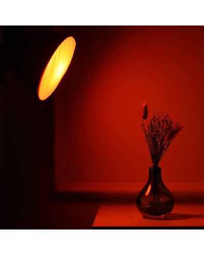 Standard Studio Strobe Reflector Light Soft Diffuser 5 Colors Standard Studio Strobe Reflector Light Soft Diffuser 5 Colors