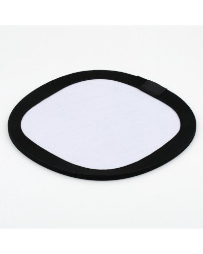 Grey card white balance disc 30cm