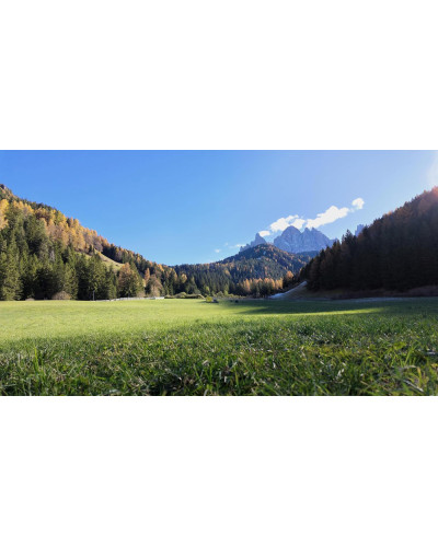 DJI Osmo Pocket 4 Standard Combo