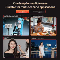 ZSYB ZG40 40W COB LED Video Light with Built-in Battery