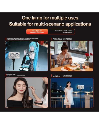 ZSYB ZG40 40W COB LED Video Light with Built-in Battery