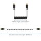 USB-C to USB-C Coiled Microphone Cable