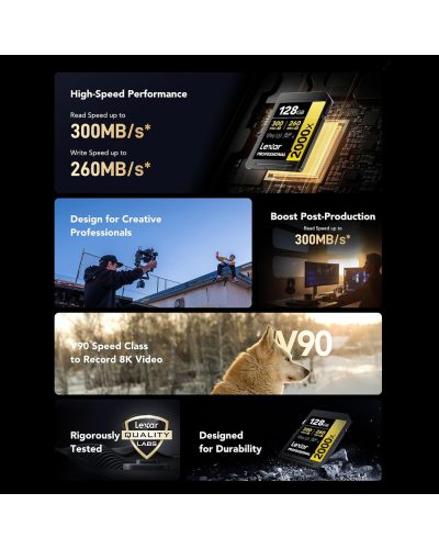 Lexar 128GB SDXC Gold UHS-II R300/W260MB/s V90