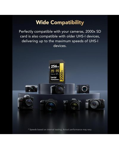 Lexar 256GB SDXC Gold UHS-II R300/W260MB/s V90 Lexar 256GB SDXC Gold UHS-II R300/W260MB/s V90