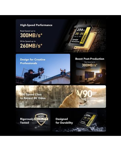Lexar 256GB SDXC Gold UHS-II R300/W260MB/s V90 Lexar 256GB SDXC Gold UHS-II R300/W260MB/s V90