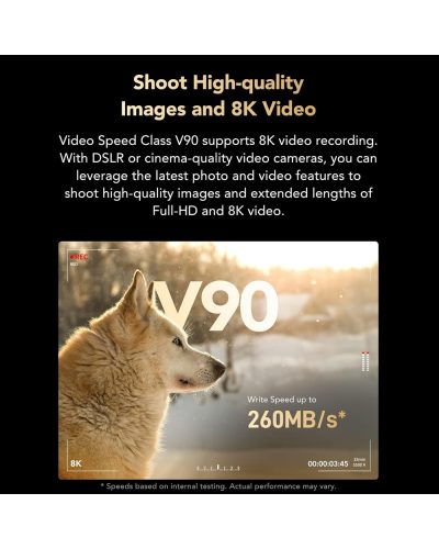Lexar 256GB SDXC Gold UHS-II R300/W260MB/s V90 Lexar 256GB SDXC Gold UHS-II R300/W260MB/s V90