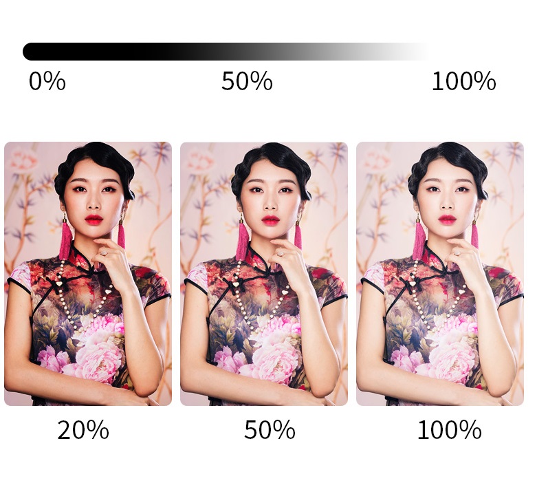 NiceFoto VB-2000A Bi-Color Folding Fabric LED Light