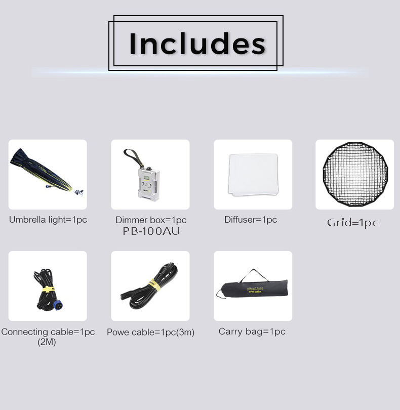 NiceFoto DF80-1000A 100W Bi-Color Umbrella Light(With Grid)