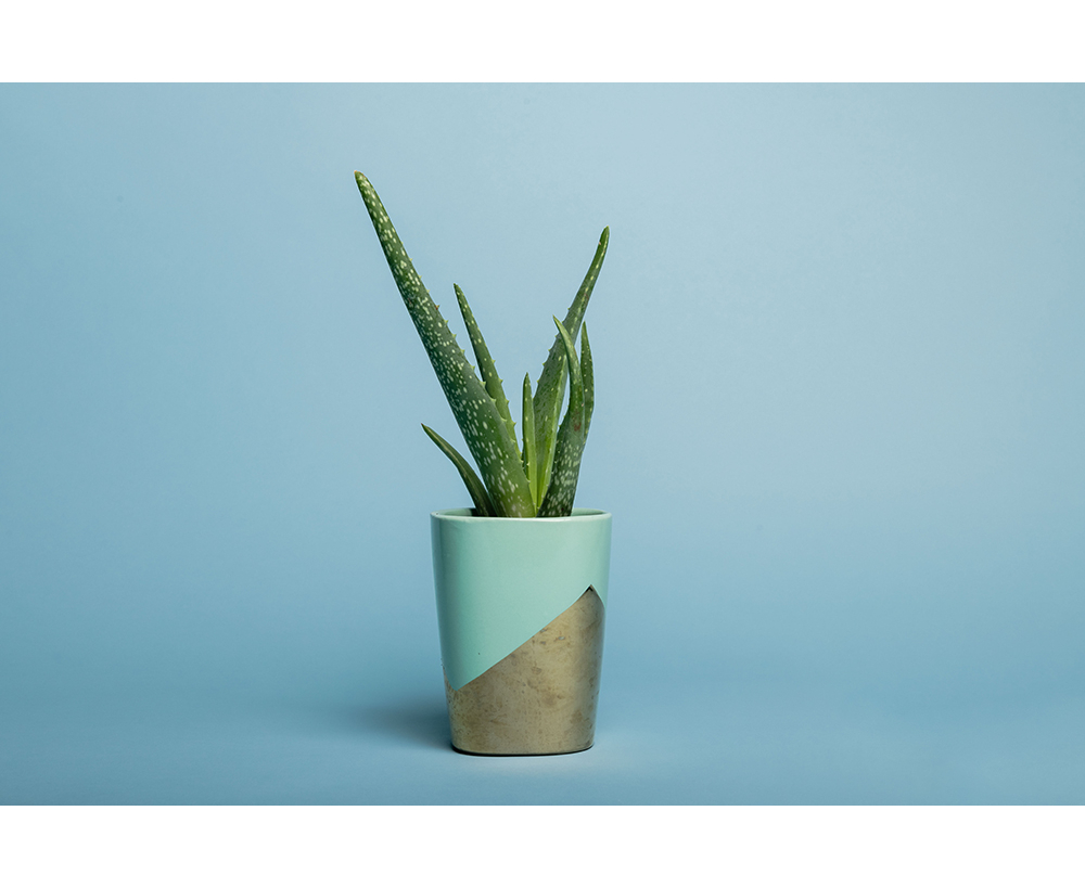 Emily Background Paper Rolls 2.72x10m #02 Sky Blue