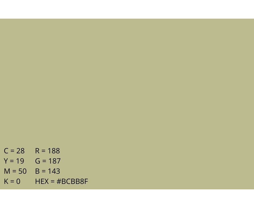 Emily Background Paper Rolls 2.72x10m #13 Tropical Green