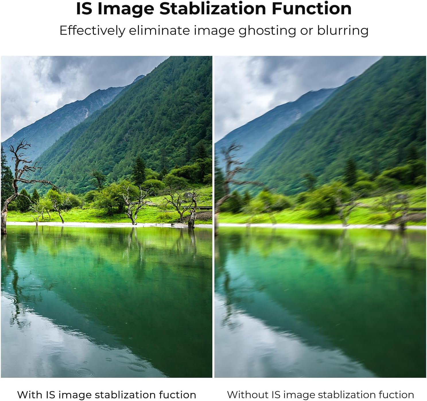 K&F Concept EF to EOS R Auto-Focus Mount Adapter