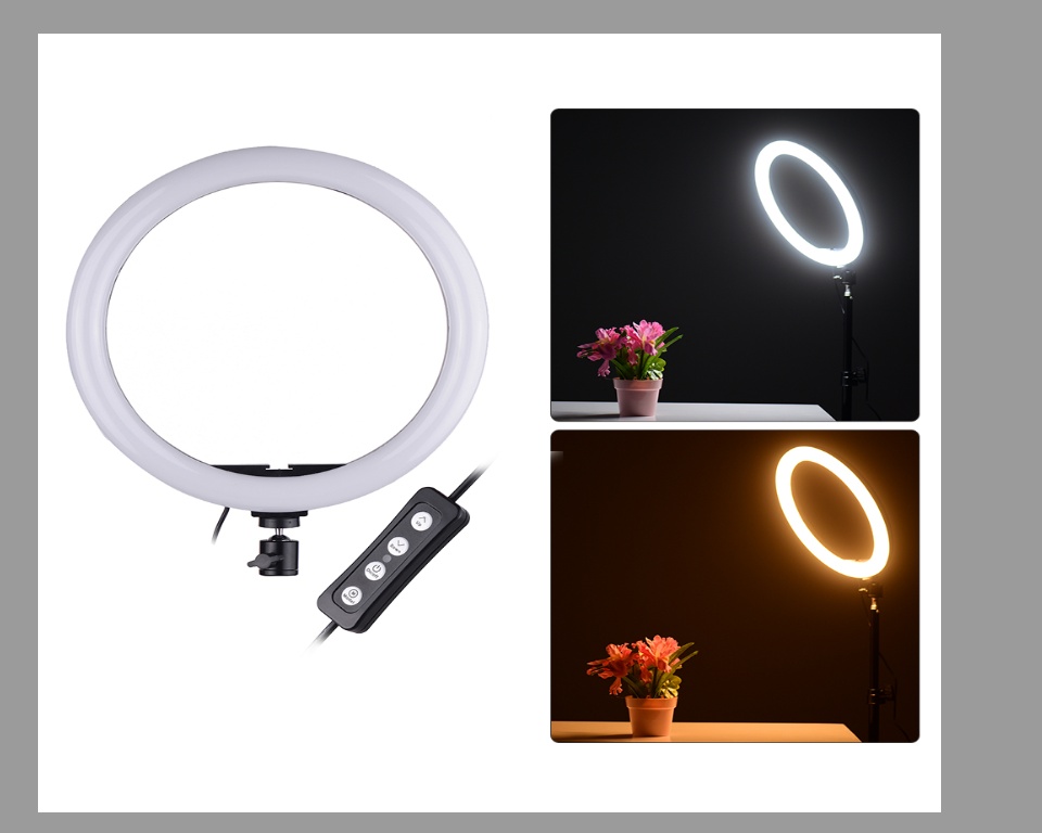 Ring Fill Light CXB-260 26CM with Tripod Stand