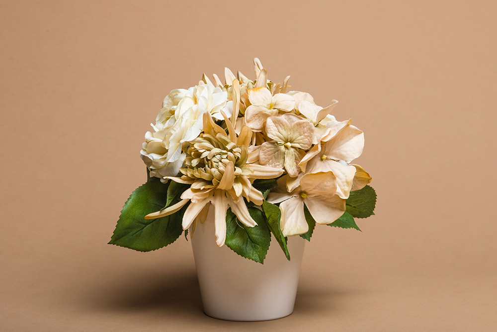 Background Paper Rolls 2.72x11m Beig