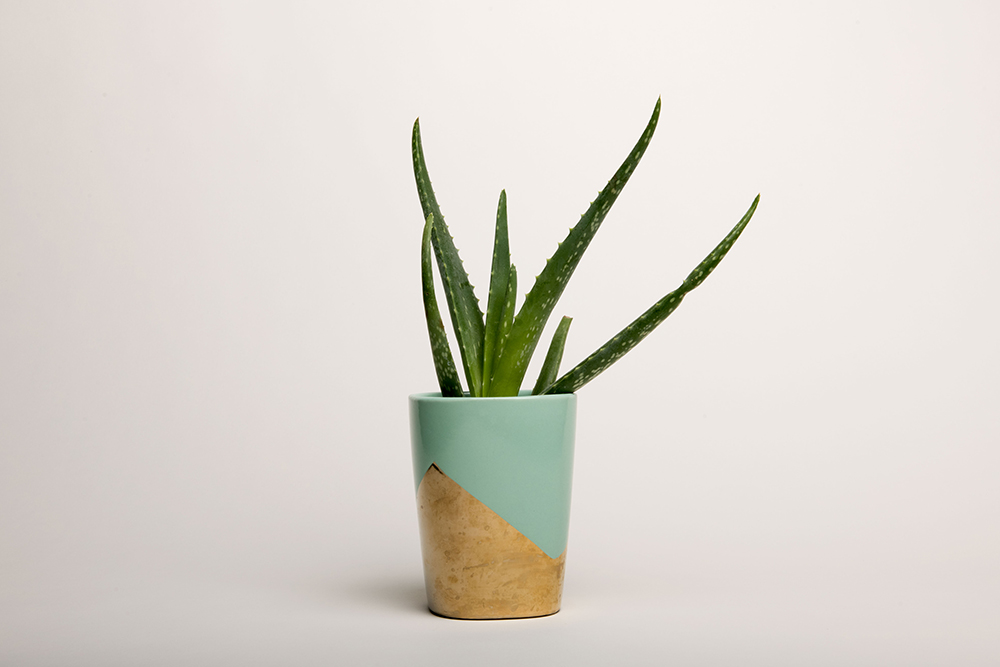 Background Paper Rolls 1.36x11mm Snow White