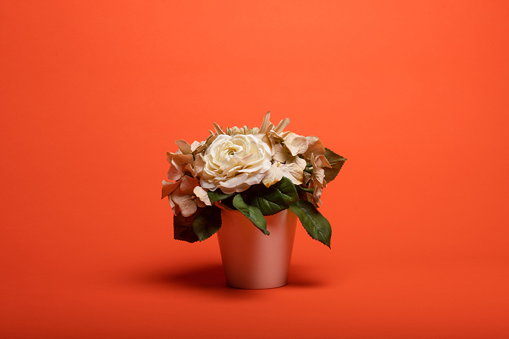 Background Paper Rolls 2.72x11m Orange