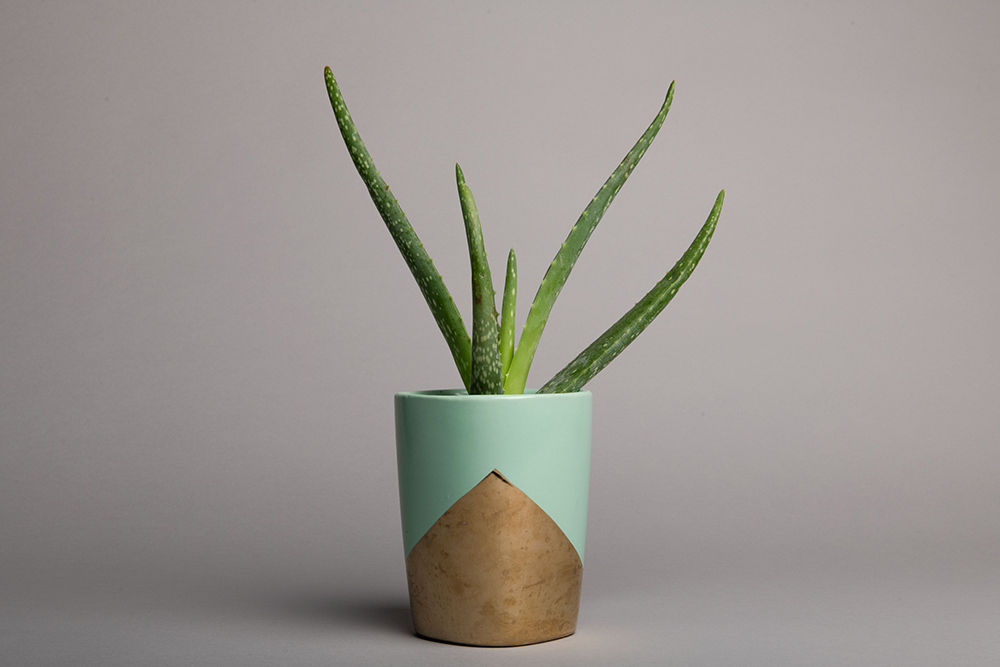 Background Paper Rolls 2.72 x 11m Slate Gray