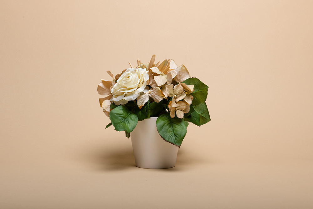 Background Paper Rolls 2.72 x 11m Wheat