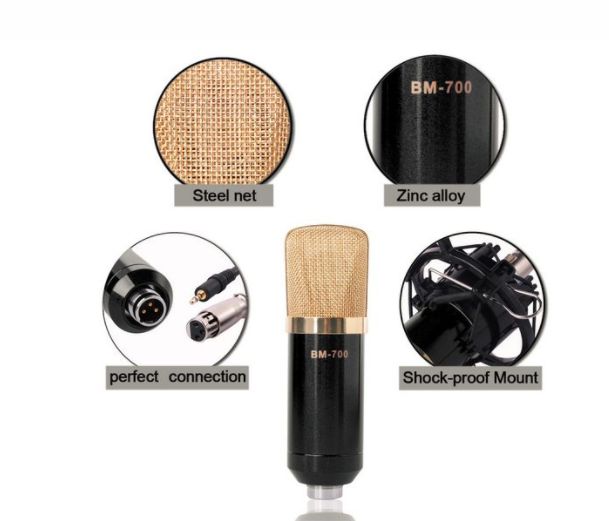 BM700 Microphone Kit