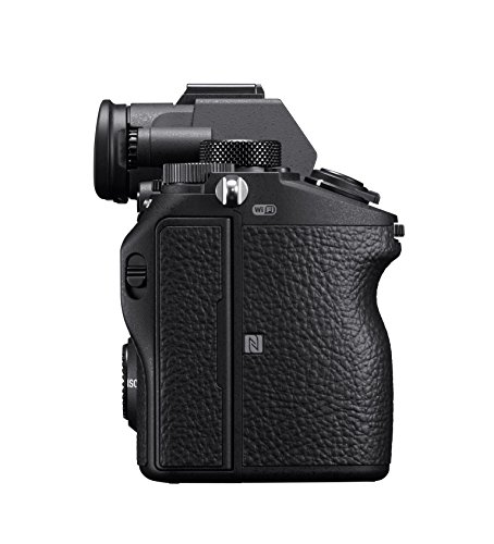 Sony a7 III Full-frame Mirrorless Camera (Body Only