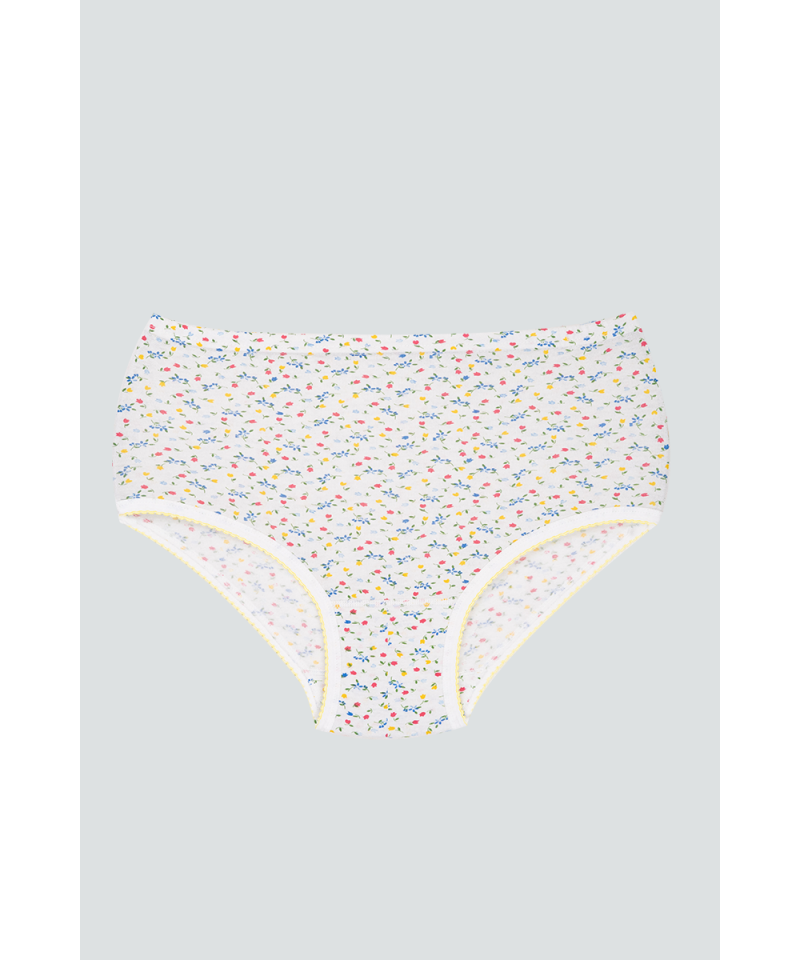 شد 6 حبة كيلوت نسائي مزهر قطن 100% صناعة تركية ماركة جيلان كود 111 شد 6 حبة كيلوت نسائي مزهر قطن 100% صناعة تركية ماركة جيلان كود 111